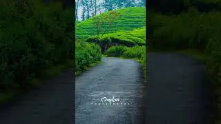 Nature Photography - Mugilan Photography