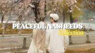 New Peaceful Nasheed Collection ❤️‍🩹🌷 - Best Trending Nasheeds to Listen 🎶 | Zahara Typist