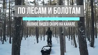 Путешествие длинной в день   56 км по лесам и болотам!