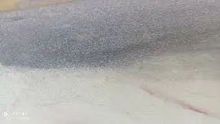 гибки абой каркандай жойларга йопишади сувга оловга чидамли