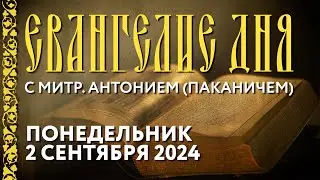 Толкование Евангелия с митр. Антонием (Паканичем). Понедельник, 2 сентября 2024 года.