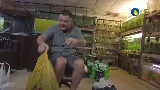 Розыгрыш морского аквариума, полный комплект