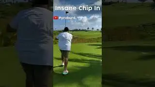 Insane Chip In 