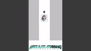 Metal gear rising