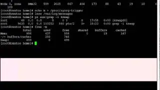 Linux Memory Management
