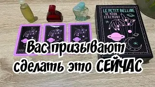 👉 Вас призывают сделать это СЕЙЧАС Гадание на оракуле Беллины Расклад онлайн