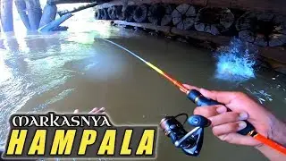 DI BAWAH KAYU MARKASNYA IKAN HAMPALA | REYNOLD SB