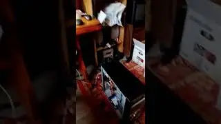 Некромантия в чистом виде. Сокет АМ2+