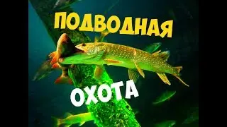 Супер трофейная ПОДВОДНАЯ ОХОТА на Малой реке GoPro