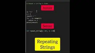 Junior Vs. Senior Python Developer 