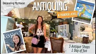 Antiquing Day, Trader Joe’s Finds Haul & Homemaking! Finally Decorating My House!