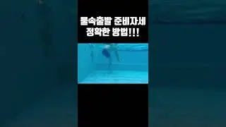 물속출발 준비자세의 정확한 방법!!!