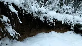 12 МЕСЯЦЕВ.ПОСЛАЛА МАЧЕХА ЗА ПОДСНЕЖНИКАМИ.🌸🌸🌸
