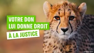 Ne laissons pas notre planète sans défense !