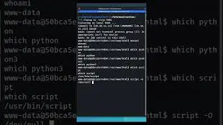 Stabilizing Reverse Shells Without Python