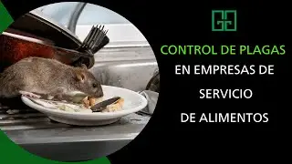 Control de plagas en las empresas de servicios de alimentos. #Control_de_plagas