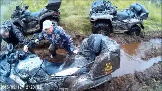 лебедимся в болоте
