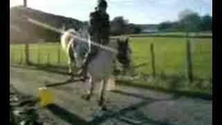 Ingeborg og Kimberly