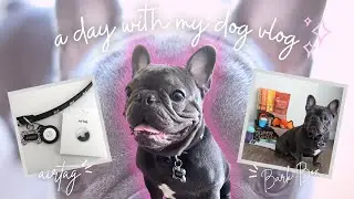 a day with my dog 🐶 vlog : super chewer box, airtag unboxing & more | Kaito Loves Jasha