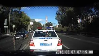 Блохастый мент
