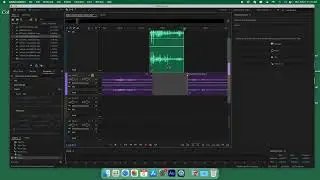 Adobe Audition Sound Manipulation Basics