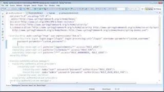 Spring Security 10   Custom Form Login
