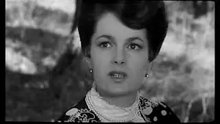 Вам нравиться этот господин?