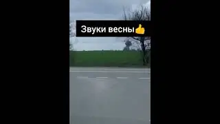 Ростов и Крым встречают весну по особому.