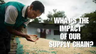 What's the impact of our supply chain?