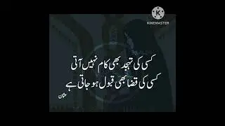 best qawwali Zareen#golden #status (1)