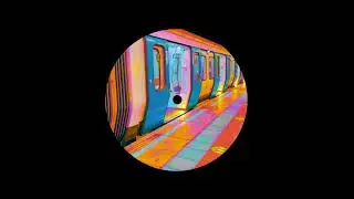 swoose - Introspective