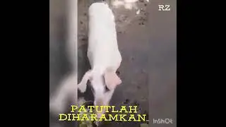 Ini rupanya sebabnya