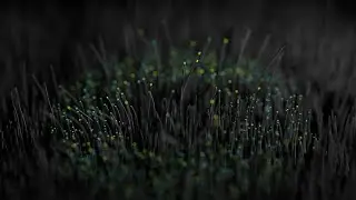 Hair dynamics Blender tutorial
