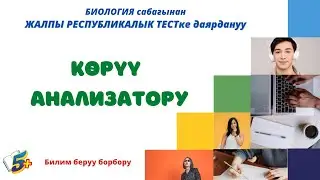 Көрүү анализатору