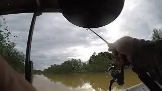 Udang Galah Tanjung Siam