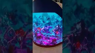 не суетись.  Всё предначертано
