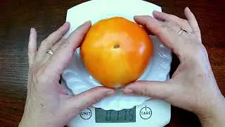 Jumbo Jim Orange. Томат - Джамбо Джим оранжевый.