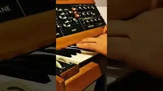 Minimoog Classics 