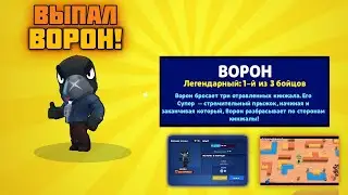 Как выбить Ворона в Бравл Старс из бесплатного ящика