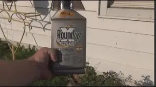 How to mix roundup extended control weed killer video