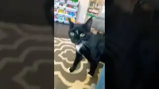 Smooth
