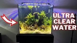 Seachem Purigen Review | Unparalleled Water Clarity!