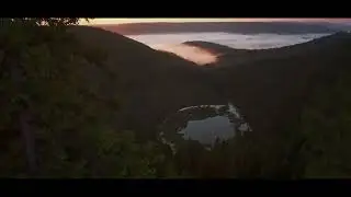 Fi - Cus T - Monster Kill