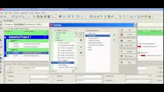 Primavera P6 how to know total and free float