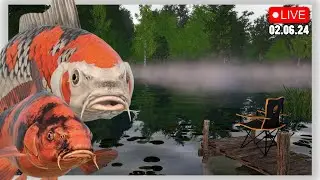 🔴 СТРИМ РР4┃😱 Новая ФАРМ ТОЧКА на МЕДНОМ┃💎 ЛУЧШИЕ снасти в РУЛЕТКЕ┃🎁 РОЗЫГРЫШ премов и золота┃maXS1k