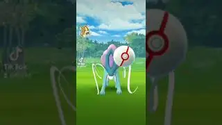 Pokemon Go Raid Suicune #pokemon #pokemongo
