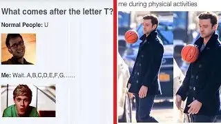 Hilarious Memes That Will Make Your Day