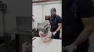 🔪 Splitting the hind quarter on a deer. 🦌  #shorts #deer #venison #butcher