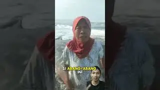 Hiu tutul terdampar #viralvideo #shortsviral #mancing #fishing #hiu