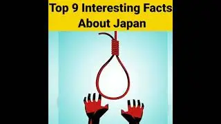 Fact #17
